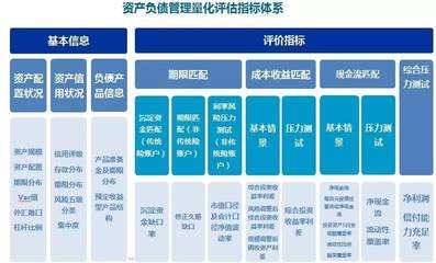 【培训干货分享】太平洋财险肖纲璟:《财产保险公司资产负债管理量化评估规则》解读